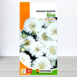 Насіння волошки Махрова Біла, 0,5г, ТМ Яскрава